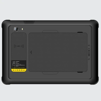 P100_2
